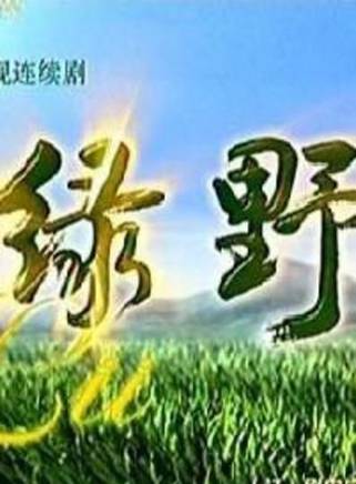 嵇波(嵇少宣)