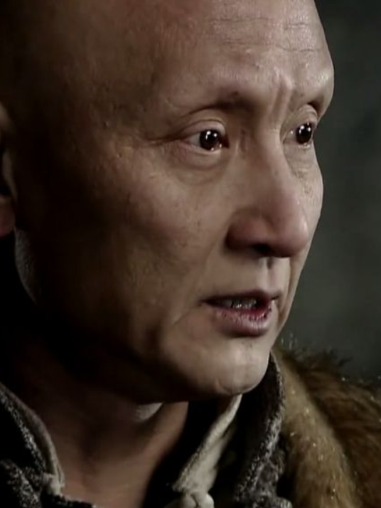 雪豹(2010年文章主演的電視劇)