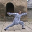 大洪拳 大洪拳
