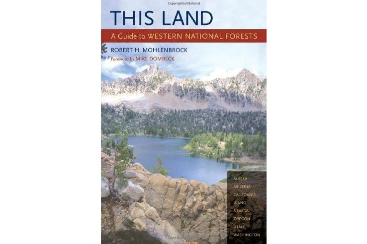 This Land This Land