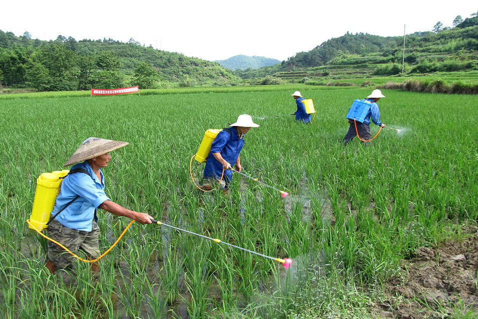 富來村 富來村