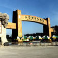 北京大興野生動物園(北京野生動物園)