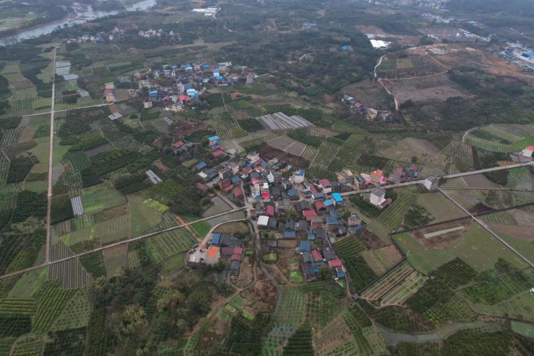 大洞村(廣西壯族自治區桂林市興安縣界首鎮下轄村) 大洞村(廣西壯族自治區桂林市興安縣界首鎮下轄村)