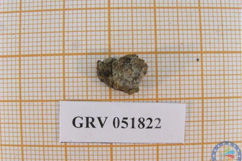 南極隕石GRV051822 南極隕石GRV051822