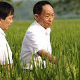 種三產四 種三產四