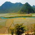 坡豆河 坡豆河