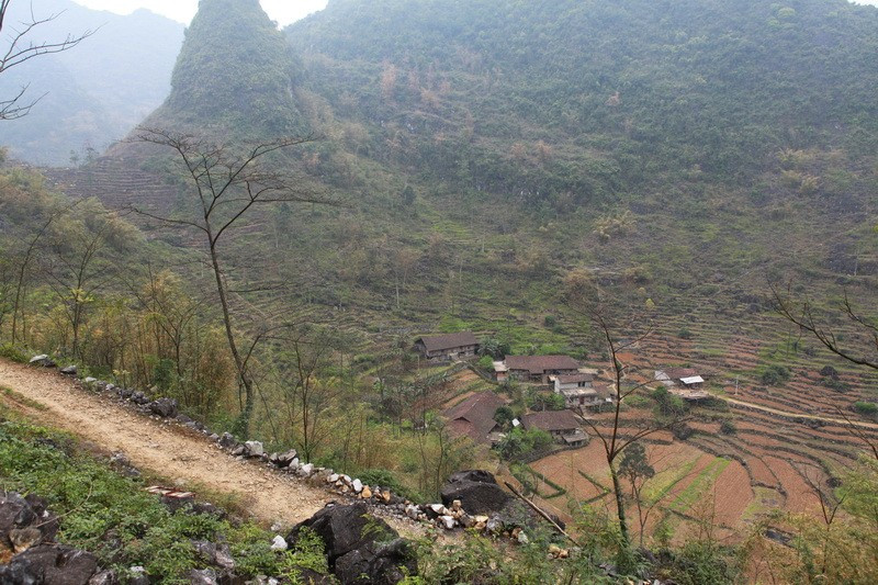 忠黨村(廣西壯族自治區南寧市武鳴區陸斡鎮下轄村) 忠黨村(廣西壯族自治區南寧市武鳴區陸斡鎮下轄村)