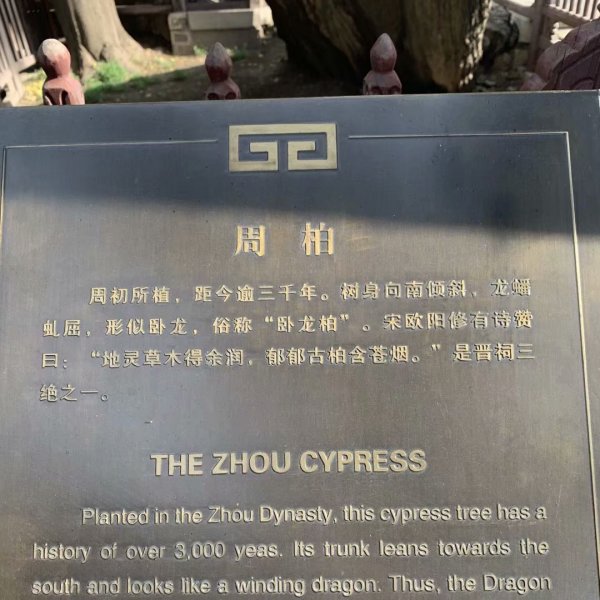 周柏