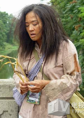 滿天星(2004年高一功執導電視劇)