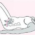 Kegel Kegel