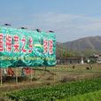 矮陂鎮 矮陂鎮