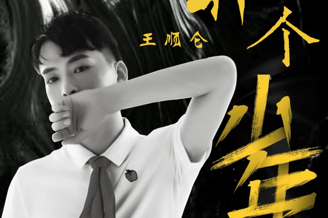 那個少年(王順侖演唱歌曲) 那個少年(王順侖演唱歌曲)