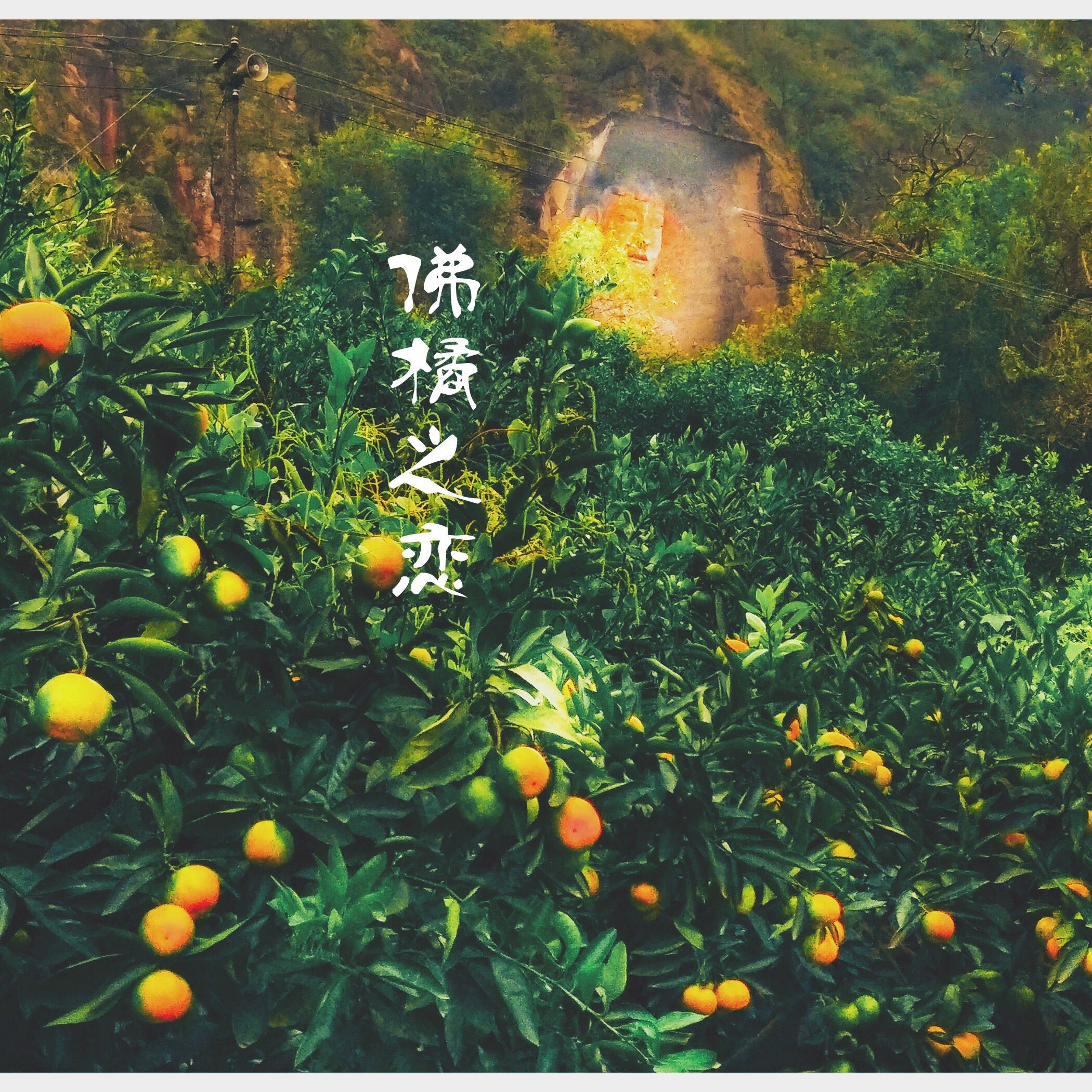 佛橘之戀（佛山橘海風景區主題歌） 專輯封面