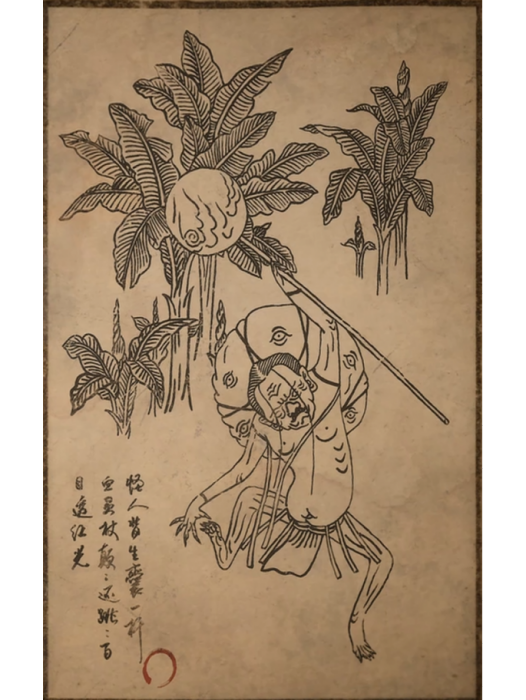 百目真人 百目真人