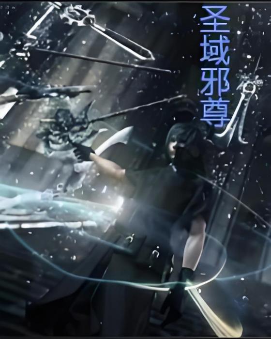 聖域邪尊 聖域邪尊