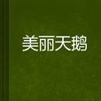 美麗天鵝 美麗天鵝