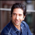 大衛·修蒙(David Schwimmer) 大衛·修蒙(David Schwimmer)
