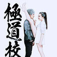 極道校園(小說) 極道校園(小說)