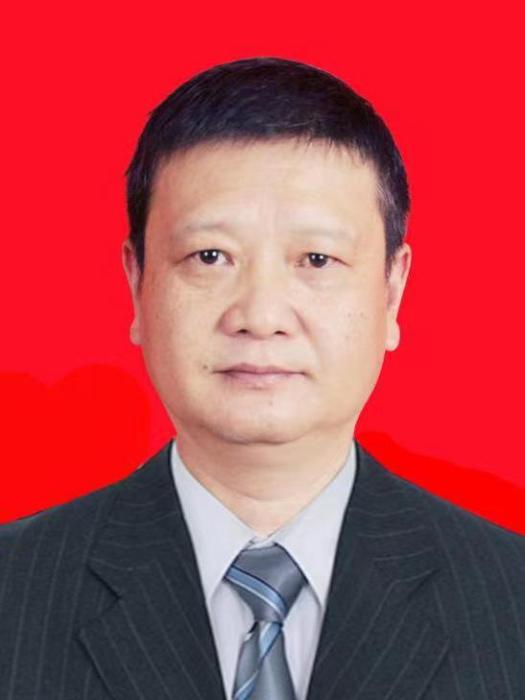 張翼(重慶市巫溪縣發展和改革委員會黨組成員，巫溪縣重點項目服務中心主任)