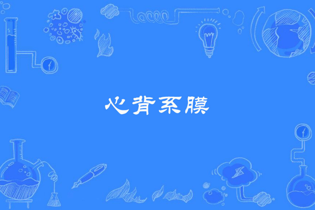 心背系膜 心背系膜