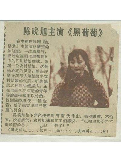 黑葡萄(1990年高強執導電視劇) 黑葡萄(1990年高強執導電視劇)