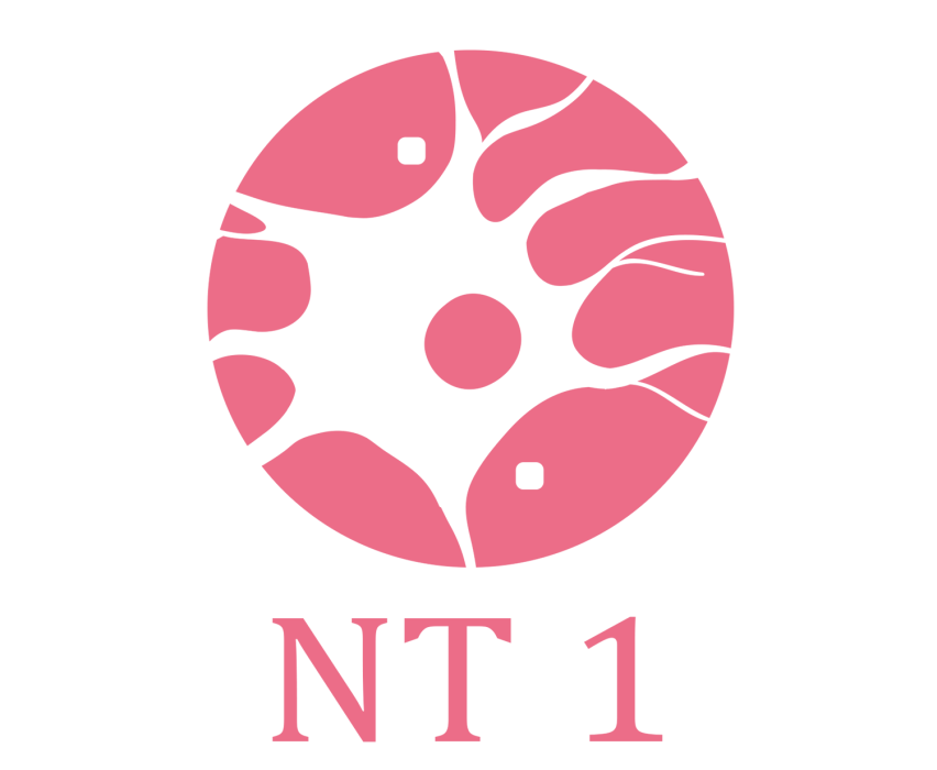 NT1(韓國化妝品品牌)