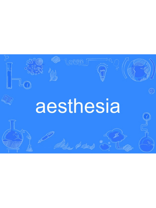 aesthesia aesthesia