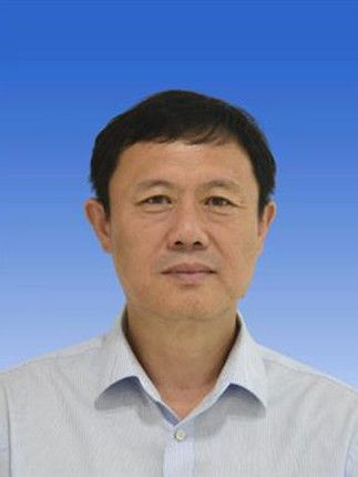 張武(天津市濱海新區審計局黨組成員、副局長) 張武(天津市濱海新區審計局黨組成員、副局長)