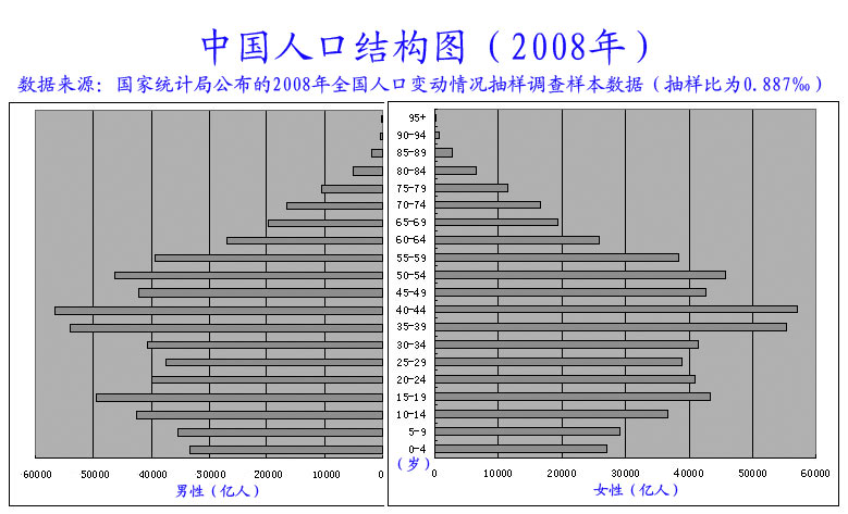 2008年中國人口結構