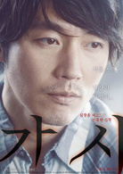 刺(2014年張赫、趙寶兒主演韓國電影《荊棘》)