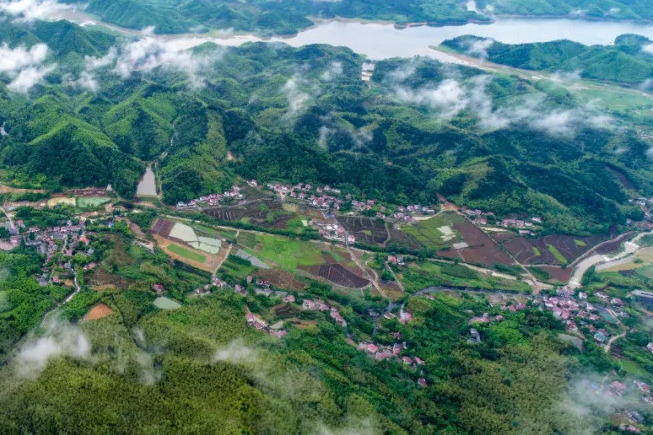 中張村(浙江省湖州市安吉縣報福鎮下轄村) 中張村(浙江省湖州市安吉縣報福鎮下轄村)