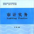 審計實務(李雪主編書籍) 審計實務(李雪主編書籍)