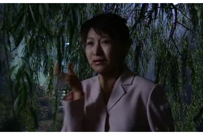 金莉(劇情劇《不要公開你的秘密》中的角色) 金莉(劇情劇《不要公開你的秘密》中的角色)