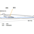 安裝角 安裝角
