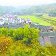 廣坪鎮(湖南會同縣廣坪鎮) 廣坪鎮(湖南會同縣廣坪鎮)