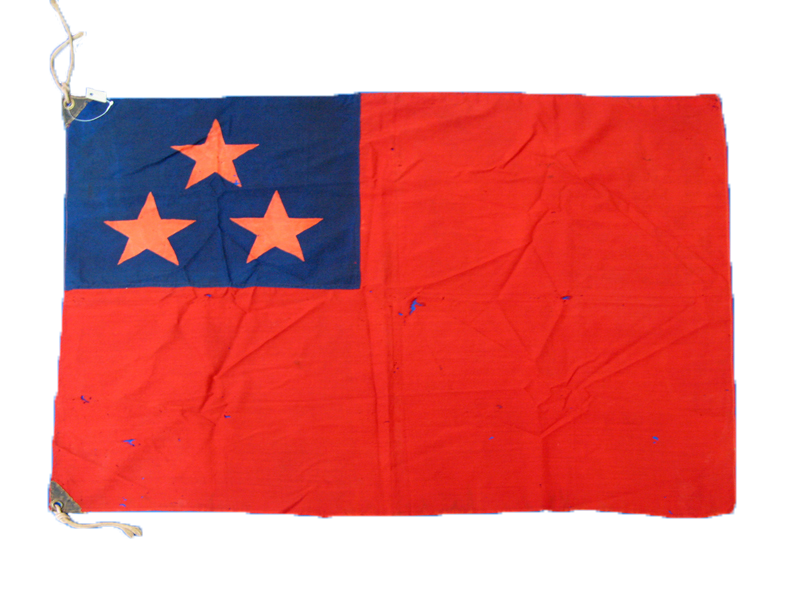 台灣民眾黨黨旗