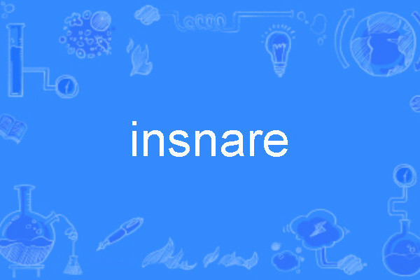 insnare insnare
