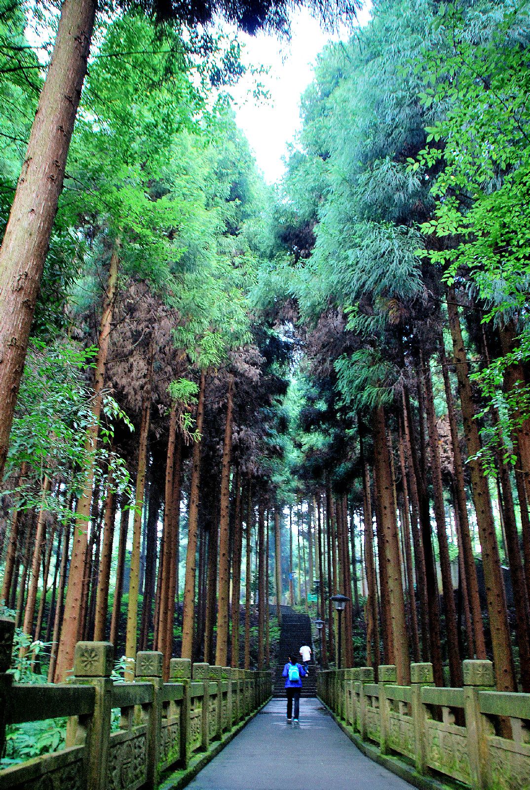 華鎣山森林公園