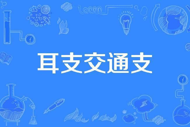 耳支交通支 耳支交通支