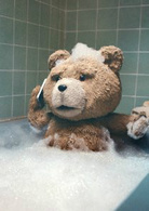 泰迪熊(美國電影《泰迪熊 ted》) 泰迪熊(美國電影《泰迪熊 ted》)