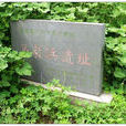 馬家浜文化