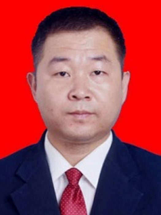 孫超(陝西省銅川市宜君縣統計局副局長) 孫超(陝西省銅川市宜君縣統計局副局長)