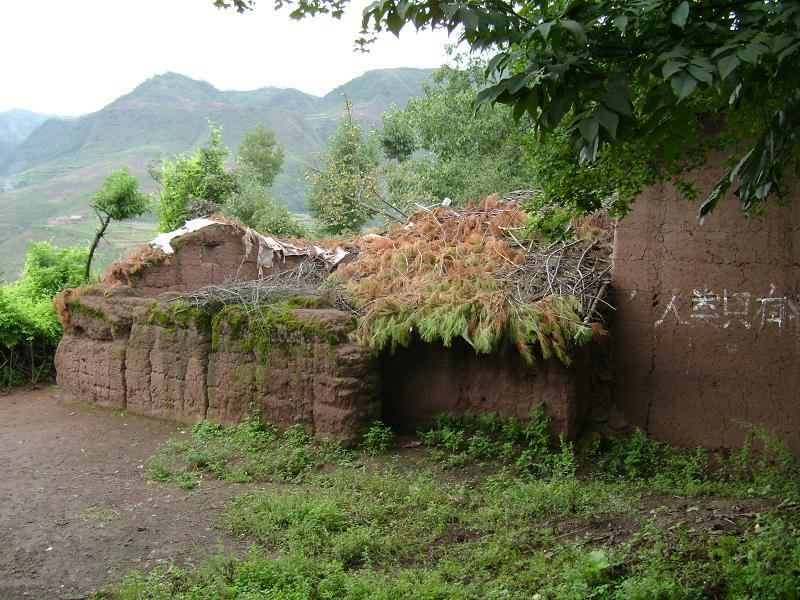 何家箐村 何家箐村