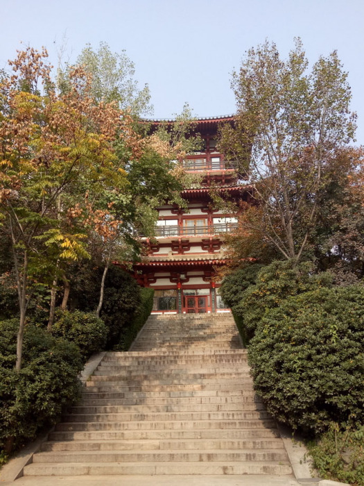 南玄閣 南玄閣
