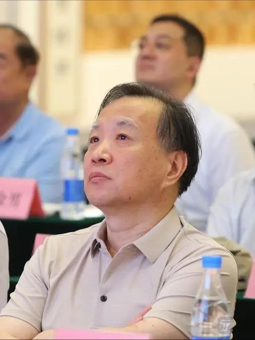 楊健(中國工業合作協會產業與職教專業委員會學術委員會主任) 楊健(中國工業合作協會產業與職教專業委員會學術委員會主任)