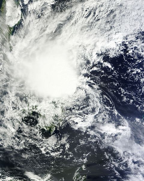 熱帶風暴玲玲衛星雲圖