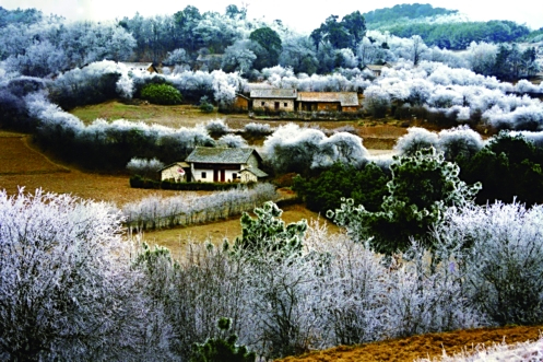 灼甫村 灼甫村