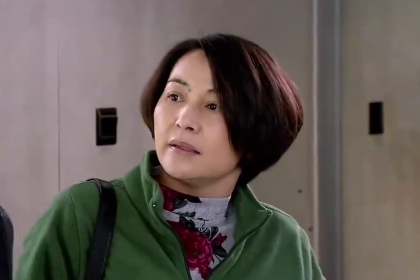 李冬梅(《獨生子女的婆婆媽媽》中的角色) 李冬梅(《獨生子女的婆婆媽媽》中的角色)