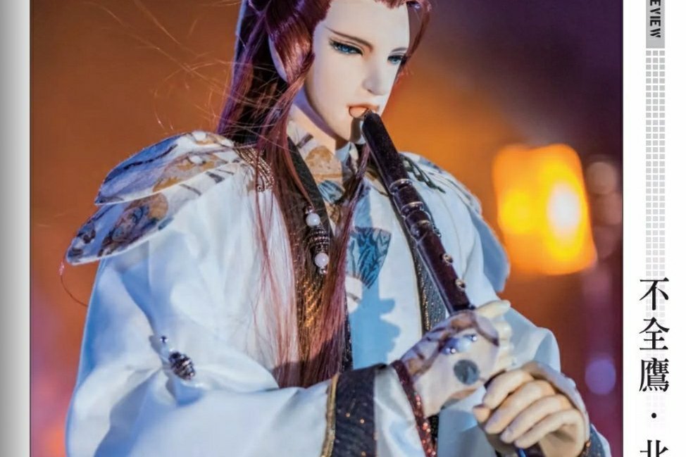不全鷹 不全鷹