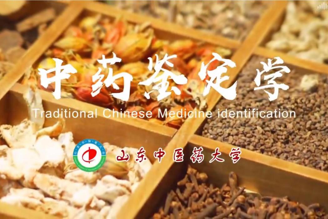 中藥鑑定學(山東中醫藥大學建設的慕課) 中藥鑑定學(山東中醫藥大學建設的慕課)